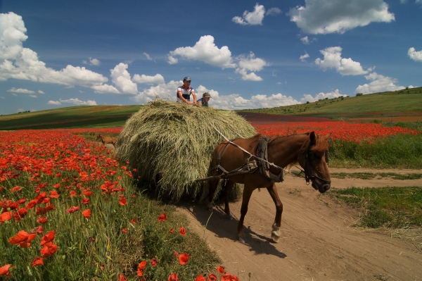 La Moldova a BIT Milano 2026 tra vino, ospitalità e turismo autentico
